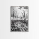 Windblown Trees, stormy sky, moody landscape, wabi sabi art, black and white, framed canvas print, rustic decor, nature photography