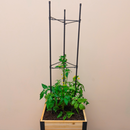 Vegetable Cage