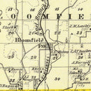Vintage Map of Johnson County, Illinois 1876