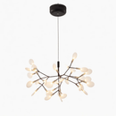 Heracleum Chandelier