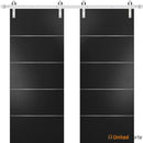 Planum 0020 Matte Black Double Barn Door and Silver Rail