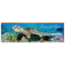 Emerald Isle Sea Turtle Home Decor Art Print on Real Wood