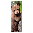 Wellsboro Black Bear Cub Home Decor Art Print on Real Wood