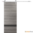 Planum 0012 Ginger Ash Barn Door and Silver Rail