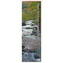 Rocky Mountain National Park Stream Home Decor Art Print on Real Wood