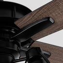 52" Kashmir Traditional Downrod Mount Reversible Ceiling Fan with Lighting and Remote Control