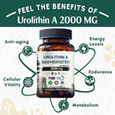 Urolithin A supplement 2000mg - with NAD+ Booster - Energy & Longevity - 180 capsules