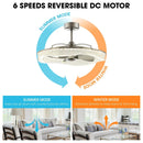 Perimost 33 Inch Satin Nickel Downrod Mount Luxury Fandelier with Light and Remote Control