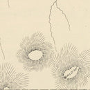 Vintage Map of Milan, New Hampshire 1892