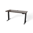Atlas 54" Electric & Adjustable Stand-Up Computer Desk