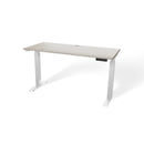 Atlas 54" Electric & Adjustable Stand-Up Computer Desk