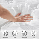 12 Inch Queen Size Breathalle Cool Cover Oekotex-100 Memory Foam Individual Pocket Spring Hybrid Mattress