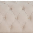 Modern Velvet Upholstered Loveseat Sofa with Thick Removable Seat Cushion, Beige, 64.3 Inches