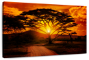 Serengeti Park Sunset Silhouette Wall Art