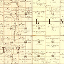 Vintage Map of Buena Vista County, Iowa 1901