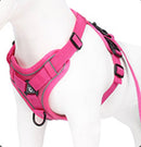 The Ultimate Dachshund Harness