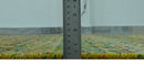 5.6x8.6 Hand Knotted Mustard, Teal and Ivory Southwestern Tribal Trellis wool Rug