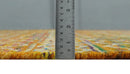 5.6x8.6 Hand Knotted Rust and Beige Modern Contemporary Southwestern Tribal Trellis Recycled wool Area Rug