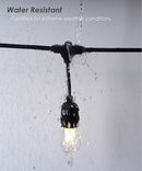2"W 4-Pack LED Bulbs Starry Night Collection