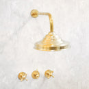 Classic Brass Shower Head and Handheld Assembly