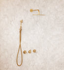 Unlacquered Brass Shower Set Head & Handheld Set