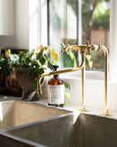 Elegant Brass Kitchen Faucet with Unique Elephant Trunk Spout