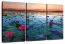 Lake Nong Harn Lotus Wall Art