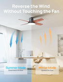 Ceiling Fan With Lights 44 Inch Black Quiet DC Motor