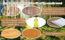 3 Piece Outdoor Patio Furniture Set With Wicker Chairs And Coffee Table Washable Cushions Acacia Wood Frame