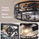 Caged Ceiling Fan 20 Inch Matte Black Remote Control