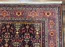 Karastan Rug 6x9 Williamsburg Collection Carters Grove