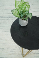 Modern Ivory and Gray Hand Made 5x8 Wool Area Rug
