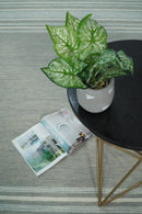 Gray Modern Style Hand Tufted Wool Area Rug