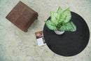Beige Modern Style Hand Tufted 5x8 Wool Area Rug