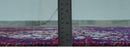5x8 Purple, Maroon and Ivory Traditional Large Ikat Design Hand Knotted wool Area Rug