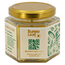 Fresh Cucumber Scented Candle | Mutliple Sizes | Blended Light
