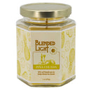 Piña Colada Scented Candle | Multiple Sizes | Blended Light