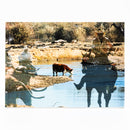 Flat Canvas Art | 5" x 7" | Various Designs | Journey West Photographer