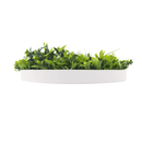 Artificial Green Wall Disc 20in – White Frame – UV Resistant – Commercial Grade