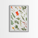 Boho Floral Botanical Wall Art Canvas Print, Minimalist Modern Farmhouse Home Decor, Living Room Wall Art, Bedroom Decor, Flower Print