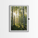 Morning Sunlight Birch Tree Art Canvas Print Natural Landscape Gift Rustic Farmhouse Vertical Artwork Home Decor Above Bed