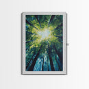 Looking Up, birch tree painting, nature wall art, green wall art, botanical prints, rustic wall art, framed canvas print, zen art