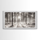 Winter Pine Forest, Sunlight Snow Trees, Nature Landscape Photography, Framed Canvas Print, Cabin Decor, Minimalist Wall Art
