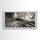 Forest Ocean Trail, Stormy Beach Scene, Driftwood Pathway, Framed Canvas Print, Cabin Entryway or Nature-Inspired Living Room Art