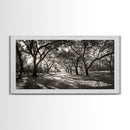Oak Tree Path, Autumn Forest Glow, Nature Trail Photography, Framed Canvas Print, Hallway Wall Art, Earthy Decor, Woodland Art