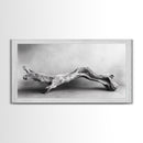 Driftwood Sculpture, Organic Modern Art, Natural Wood Texture, Neutral Decor, Framed Canvas Print, Bedroom or Living Room Wall Art