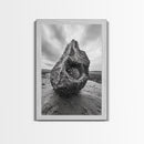 Sea Orb Rock, Coastal Texture, Ocean Shell Art, Framed Canvas Print, Beach House Wall Decor, Abstract Nature, Nautical Art Piece