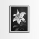 Elegant Lily, Black and White, Floral Beauty, Canvas Print, Botanical Wall Art, Minimalist Art, Bedroom Wall Decor, Nature Photography