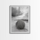 Tumbleweed Dune, Windy Coast, Desert Beach, Canvas Print, Boho Wall Art, Autumn Nature Decor, Minimalist Western Photography