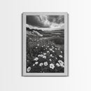 Meadow Bloom, Coastal Flowers, Stormy Sky, Framed Canvas Print, Spring Wall Art, Nature Photography, Kitchen Botanical Decor
